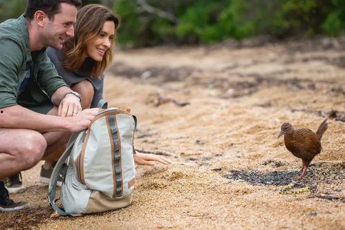 大自然的守护者,大自然的守护者传奇