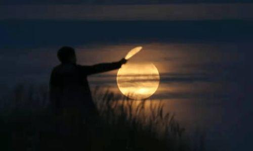 替身女配拿稳白月光剧本