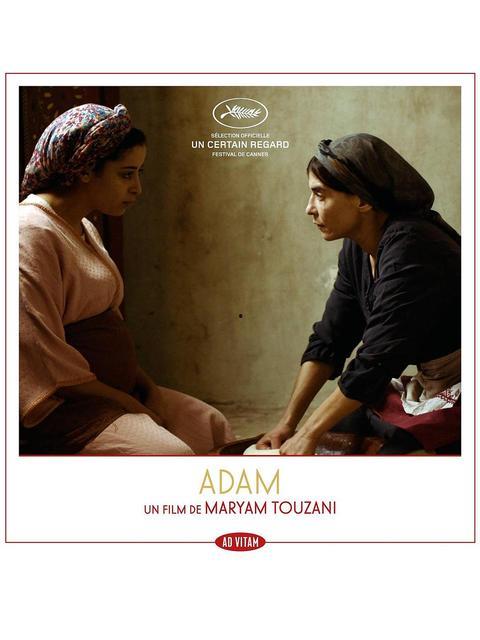 亚当 2019,亚当的精彩回顾与展望