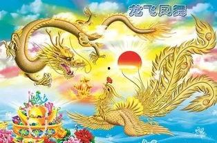 龙飞凤舞,探寻中华传统文化的瑰宝与魅力
